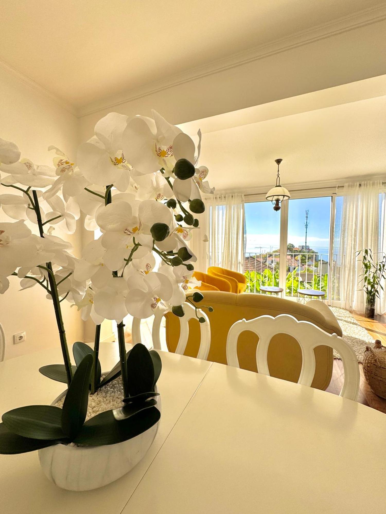 ポンタ・ド・ソルA Velha Casa Cabozアパートメント エクステリア 写真